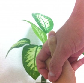 秋の気配が少しずつ