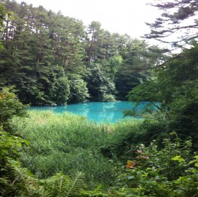 喧嘩しました…( *´Д⊂