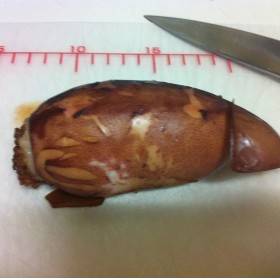 ちょっと滞ってました(; ^ω^)